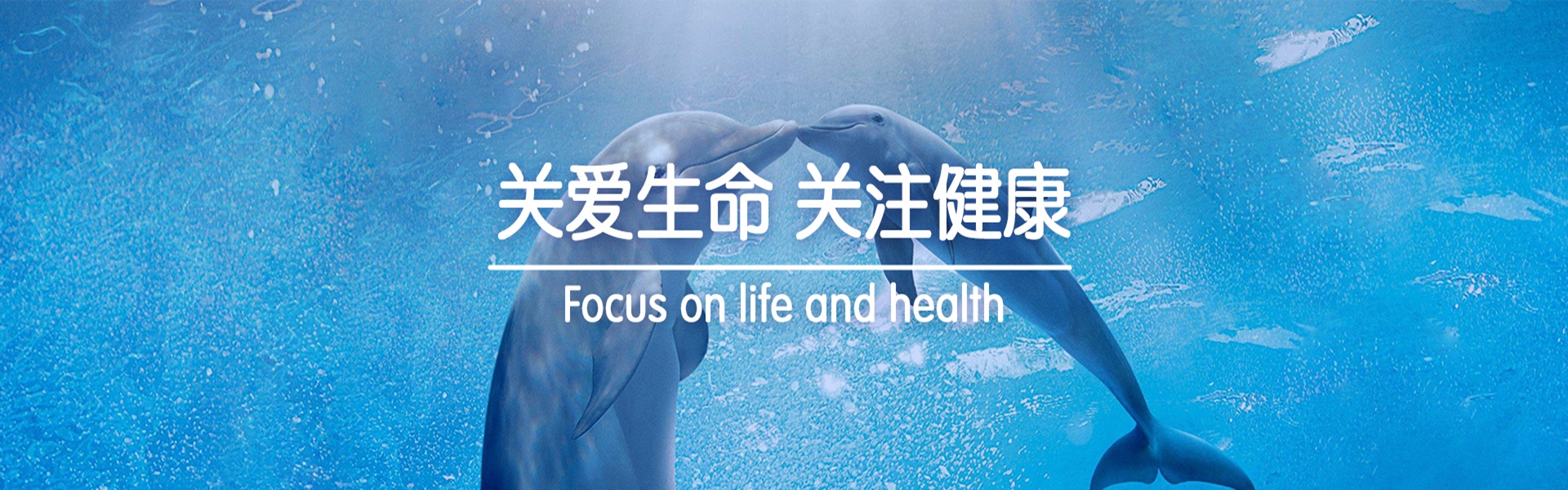 Shanghai ZhiBei Information Consulting Co., Ltd