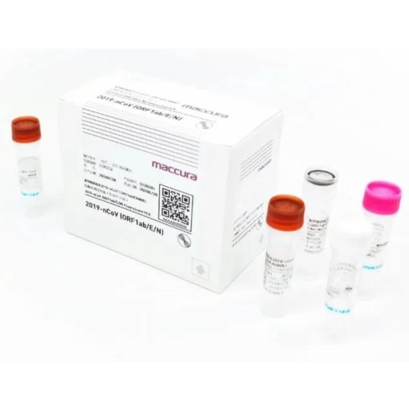 SARS-CoV-2 Fluorescent PCR Kit